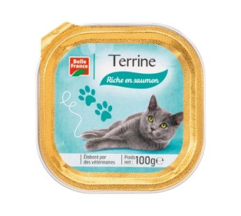 Terrine Saumon 100g Belle France