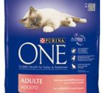 450G CROQ.CHAT POISSON ONE SAUMON et RIZ